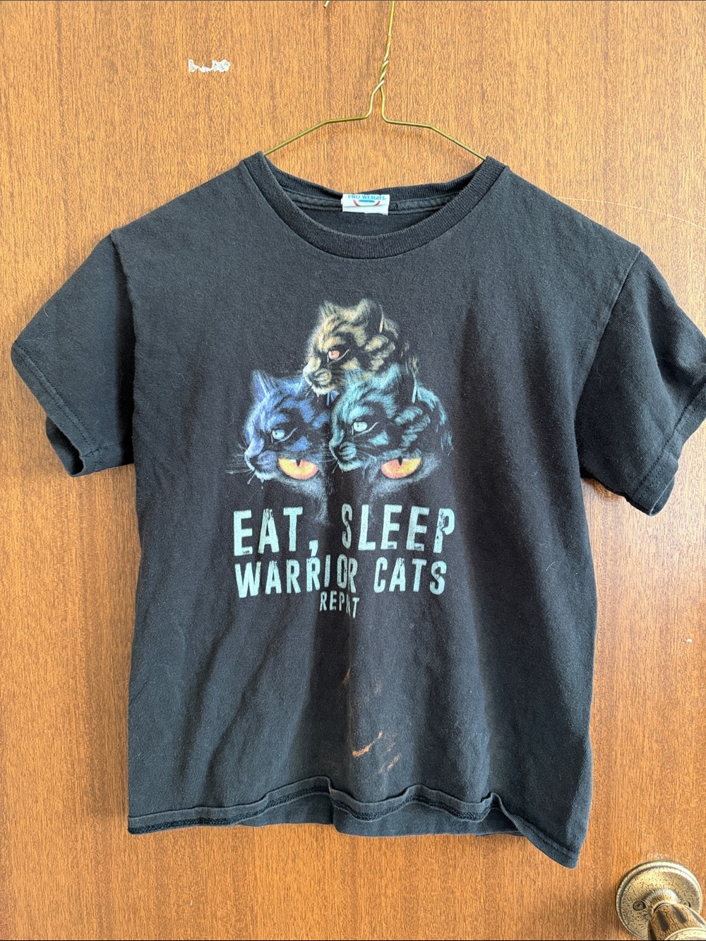 Delta Black 'Eat, Sleep Warrior Cats' Graphic Tee